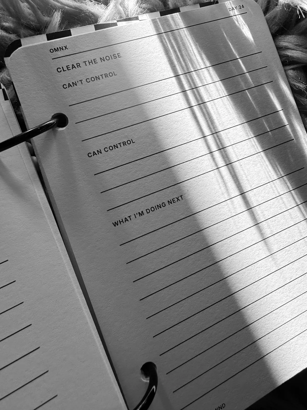 Day 24's page in strong window light, headed CLEAR THE NOISE, with lined space under CAN'T CONTROL, CAN CONTROL and WHAT I'M DOING NEXT