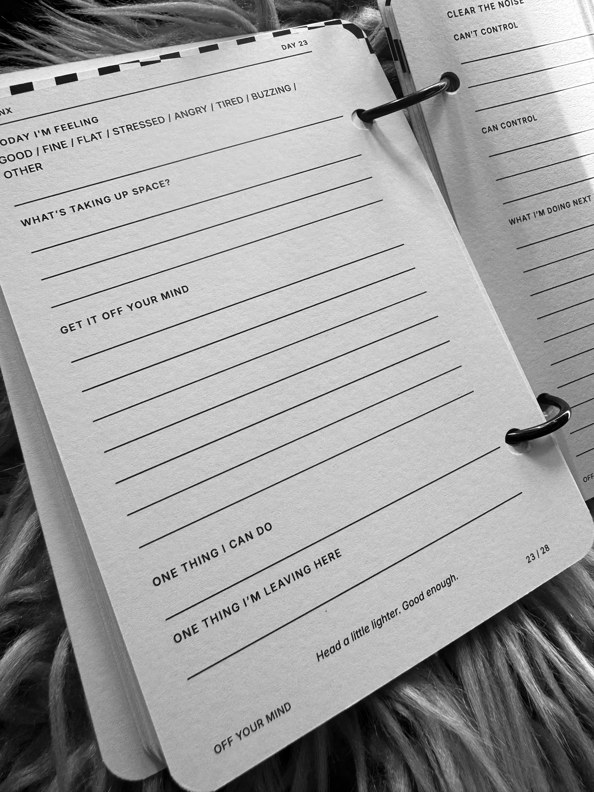 Day 23's page open on the rings: TODAY I'M FEELING with a list of moods to pick from, then lined space under WHAT'S TAKING UP SPACE?, GET IT OFF YOUR MIND, ONE THING I CAN DO and ONE THING I'M LEAVING HERE, with the Day 24 page beside it